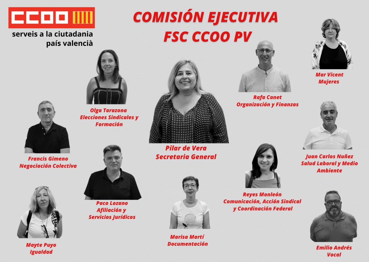 Comisin Ejecutiva FSC CCOO PV