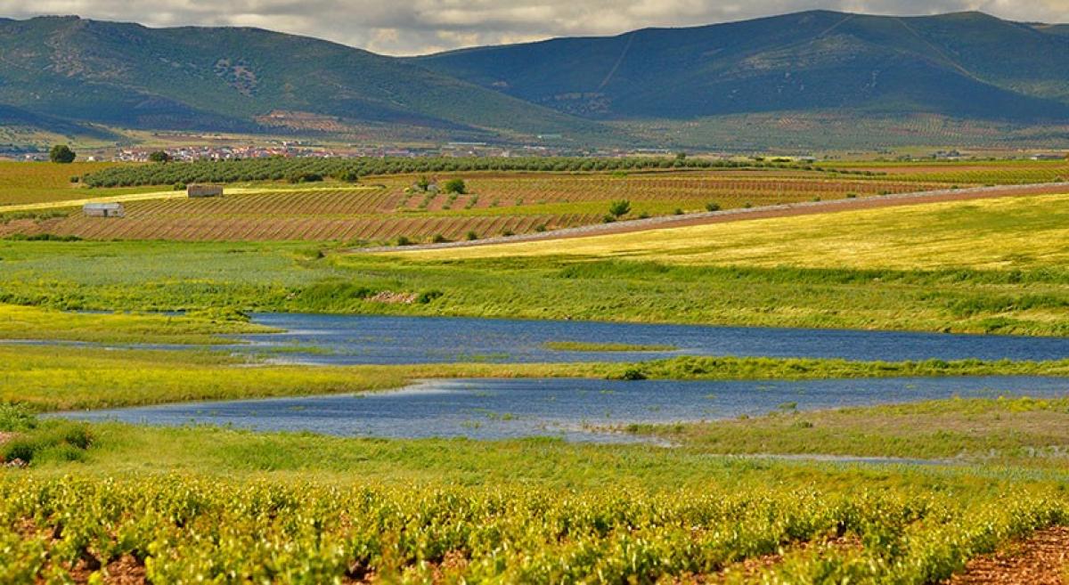 Parque Nacional de Las Tablas de Daimiel