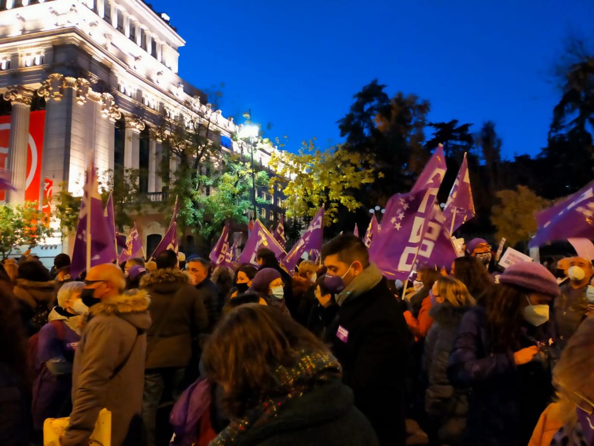 Manifestacin en Madrid, 25N Dia por la eliminacin de la violencia hacia las mujeres.