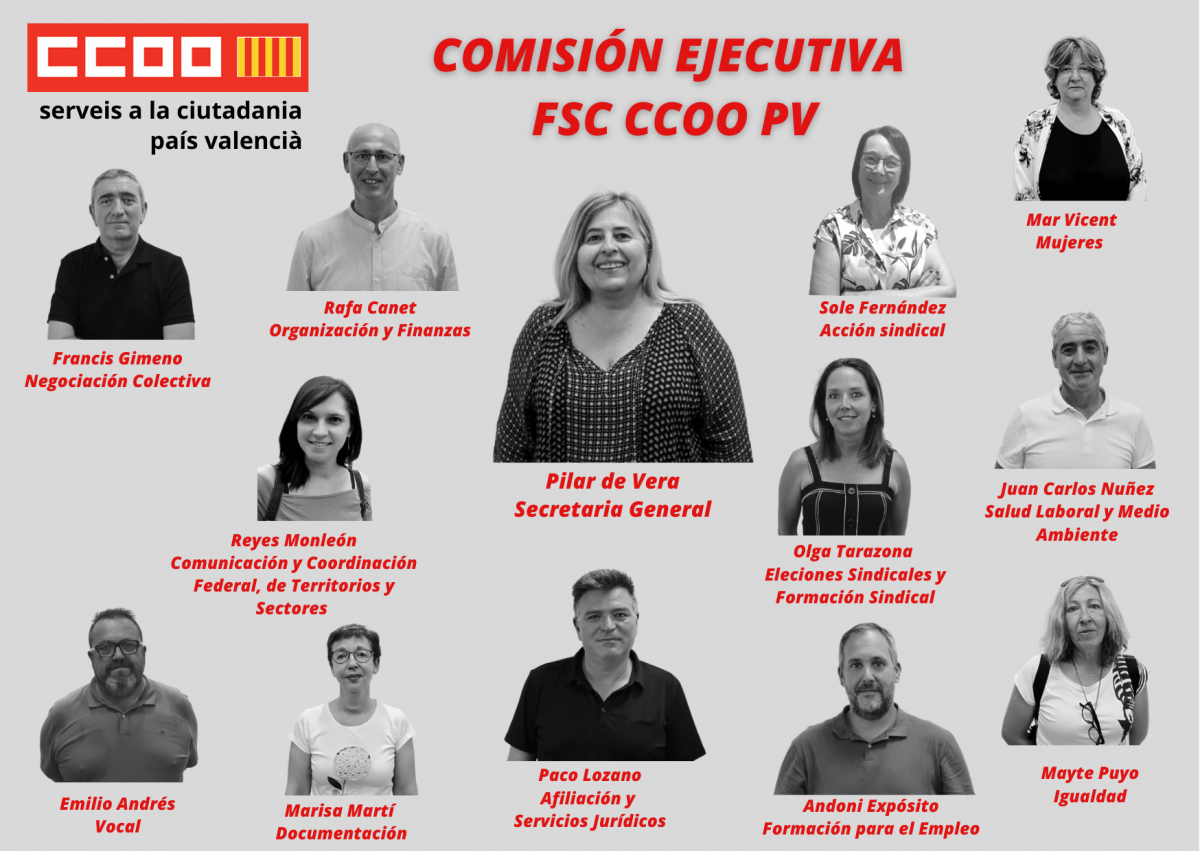Comisión ejecutiva FSC CCOO PV