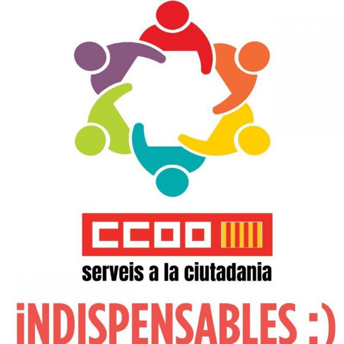 Consejo FSC CCOO PV
