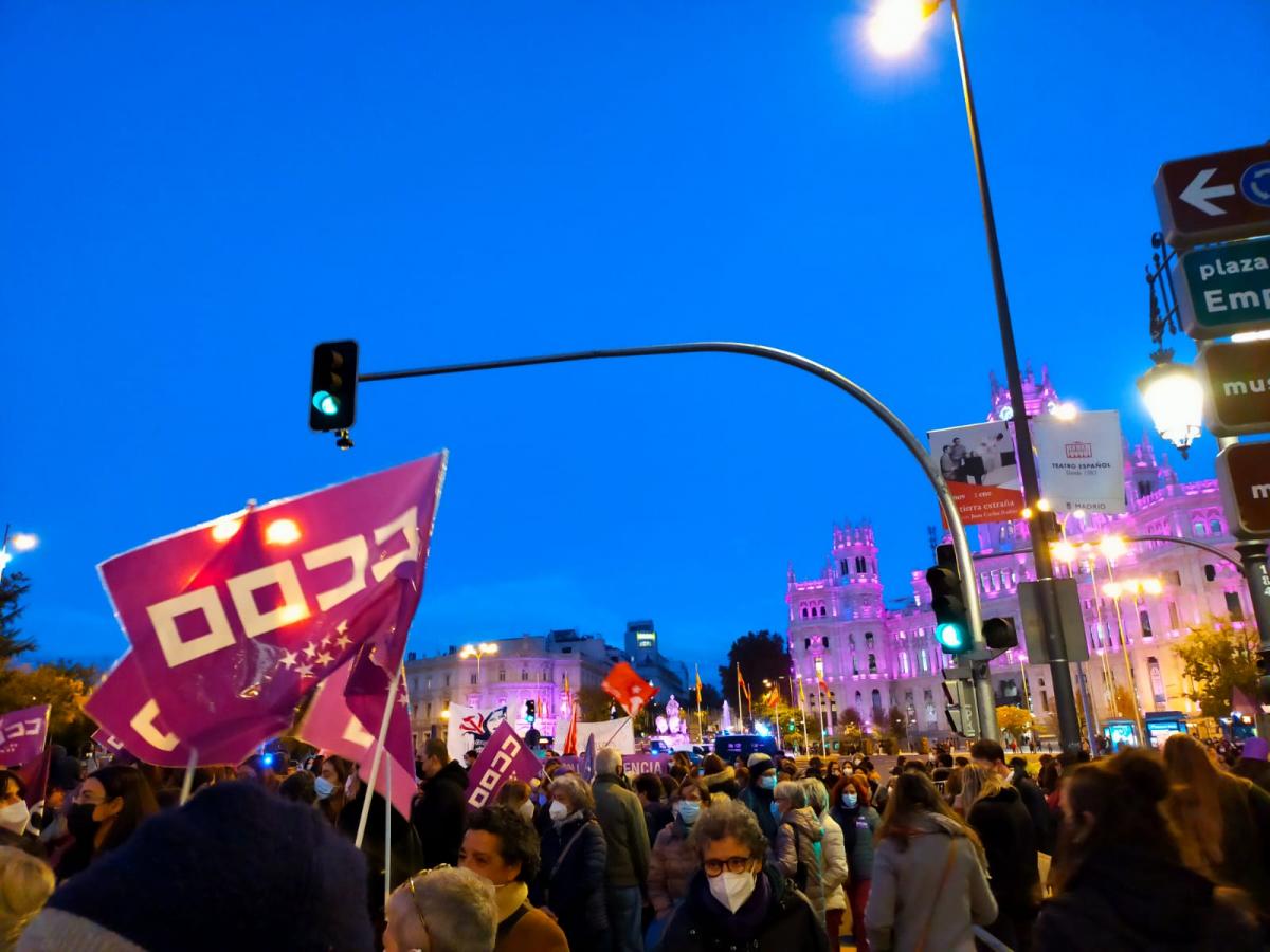 Manifestacin en Madrid, 25N Dia por la eliminacin de la violencia hacia las mujeres.