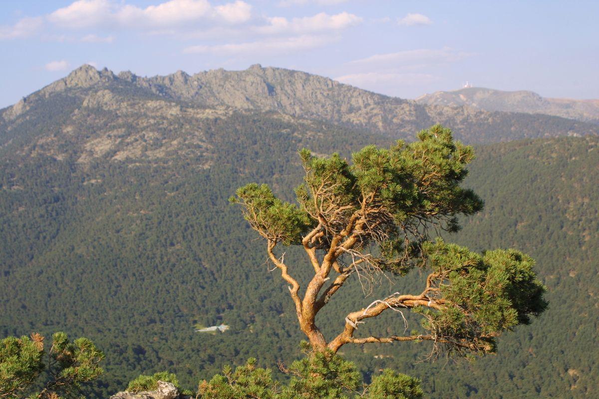 Parque Nacional de la Sierra de Guadarrama