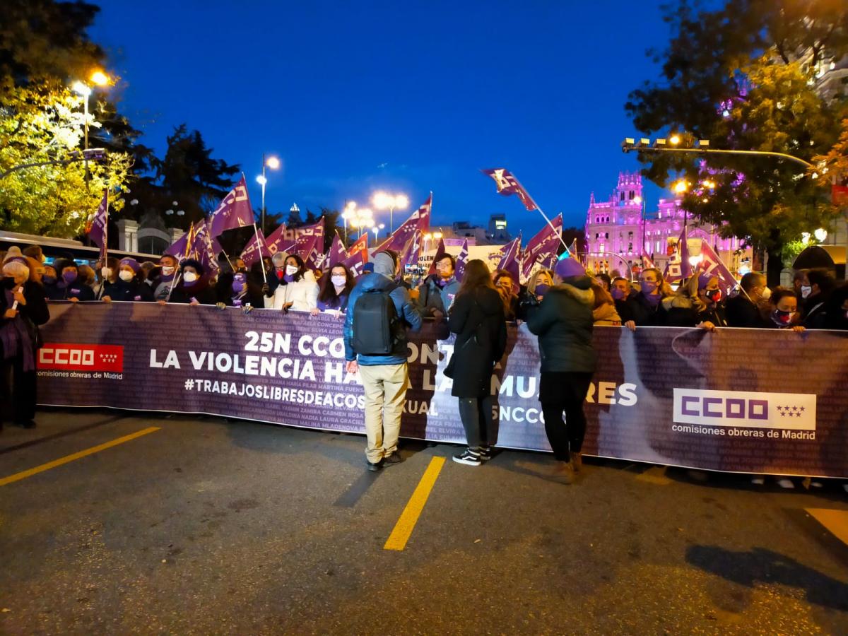 Manifestacin en Madrid, 25N Dia por la eliminacin de la violencia hacia las mujeres.