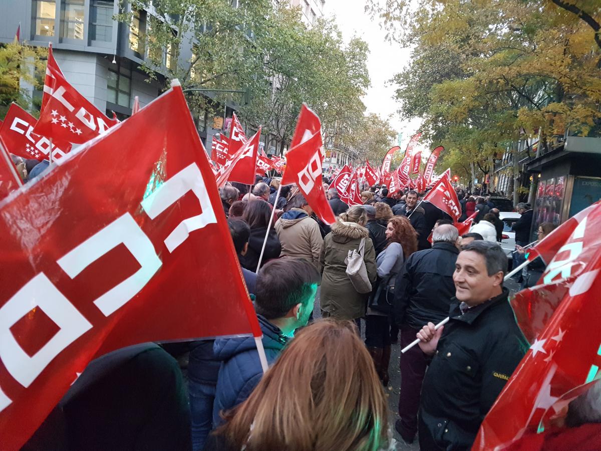 Manifestacin 29N a su paso por Gnova