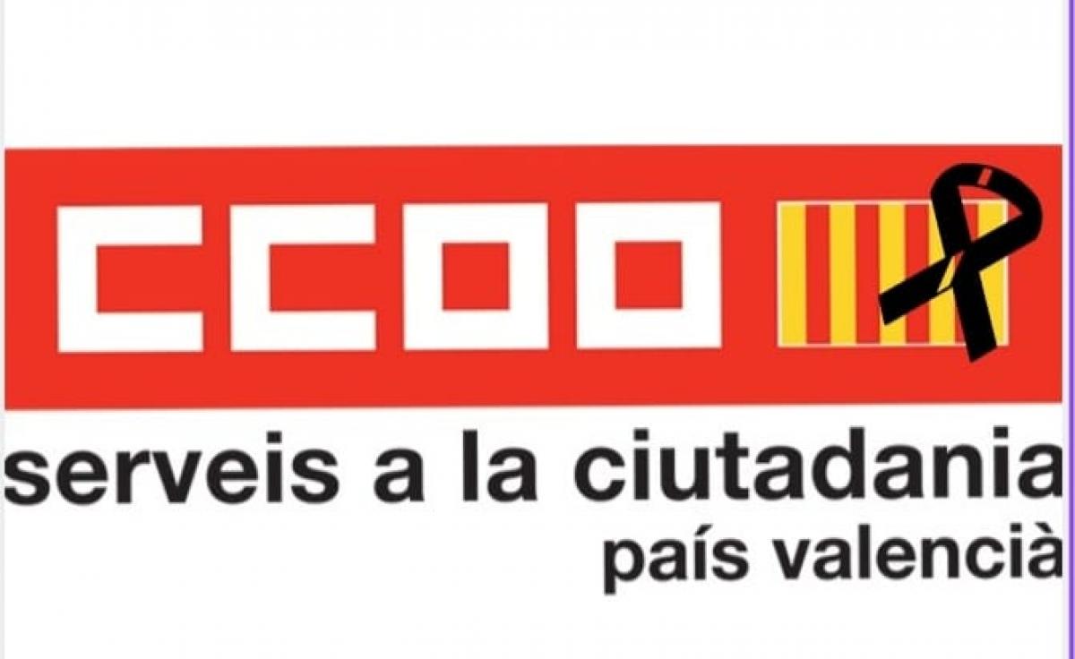 Resolucin CE FSC CCOO PV