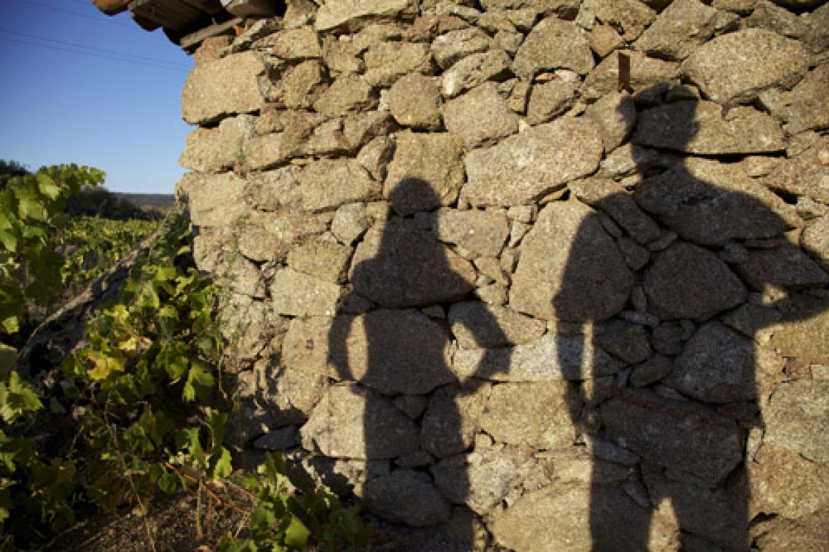 Se vuelve a poner de manifiesto la masculinizacin del medio rural y pesquero en el MAPA.