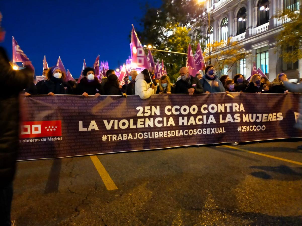 Manifestacin en Madrid, 25N Dia por la eliminacin de la violencia hacia las mujeres.